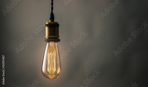Illuminated Edison Vintage Hanging Light Bulb Kaufen Sie