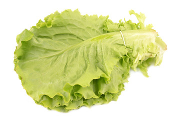 Wall Mural - lettuce leaves