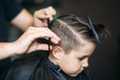 © Aleksandr - Little boy on a haircut in the barber sits on a chair.