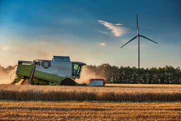 Combine harvester agriculture machine harvesting golden ripe wheat field