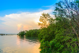 Fototapeta Łazienka - beach and mangrove forest with sunset background