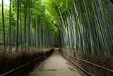 Fototapeta Dziecięca - Arashiyama Bamboo Forest