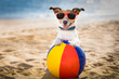 Leinwandbild Motiv dog at the beach and ocean with plastic ball