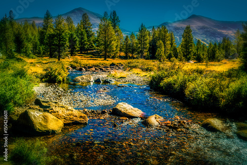 Cuadros en Lienzo The Tuolumne River runs through Yosemites Tuolumne Meadows