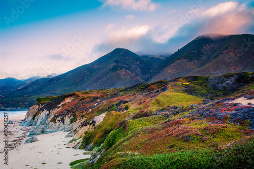 Cuadros en Lienzo A Colourful Beach in Big Sur California