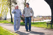 © Mediteraneo - Adult son walking with his senior father in the park.