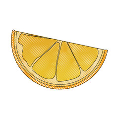 Wall Mural - drawing slice orange citrus fruit harvest vector illustration