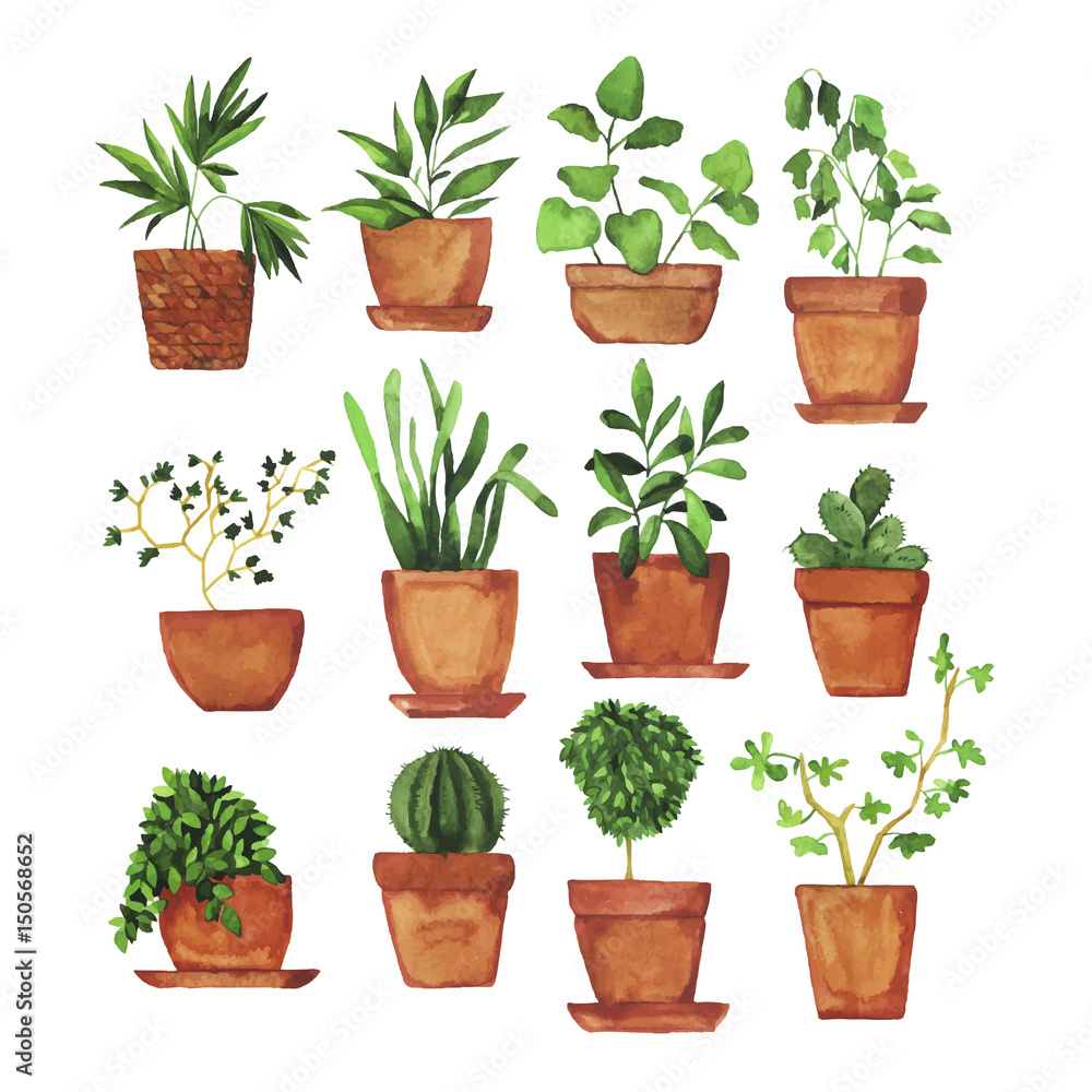 Set of doodle home plants painted by watercolor. Hand drawn illustration.  Stock Vector | Adobe Stock