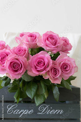 Get Spruch rosen For Android