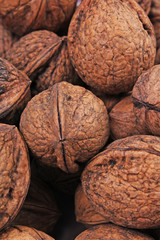 walnut