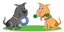 Two Dogs Black And Brown Sit On The Grass And Hold In Their Mouth Rubber Toys With Pimples