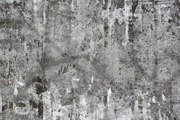 Wall Mural - grunge wall, highly detailed textured background.