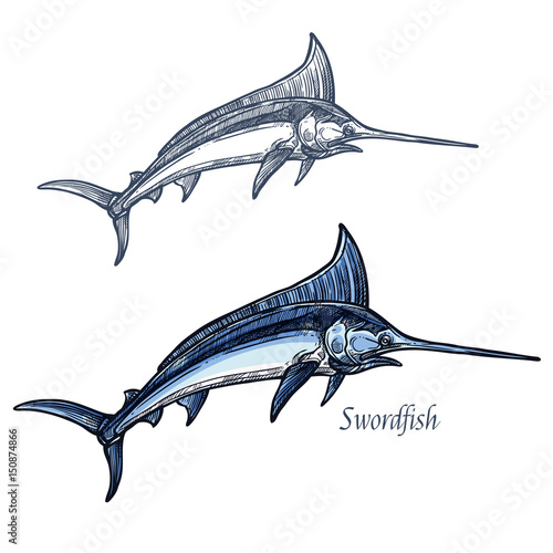 Marlin fish vector isolated sketch icon Stock Vector | Adobe Stock