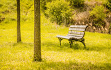 Fototapeta Krajobraz - An empty bench. Autumn in the park 