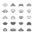 Abstract vector lotus flower symbol icon set