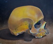 watercolor still life with skull and table
