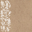 Floral background with  lavender flowers and place for text. Vector illustration on a kraft paper. Invitation, greeting card or an element for your design.