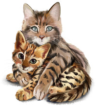Cat Hugs Kitten Watercolor Painting
