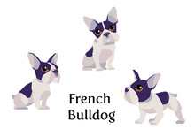 Vector Illustration Of French Bulldog In Different Poses Isolated On White Background.