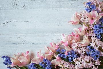 Pink tulips and blue hyacinths on a wooden background