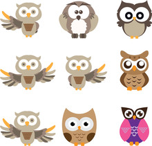 Owl Cute In Isolate Background