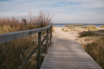  Wooden footbridge in the dunes leading to the beach