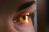 Research and scanning eye, close-up photos, retinal diagnostics in ophthalmology