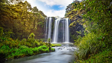 Whangarei Scenic Reserve In Neuseeland (New Zealand)