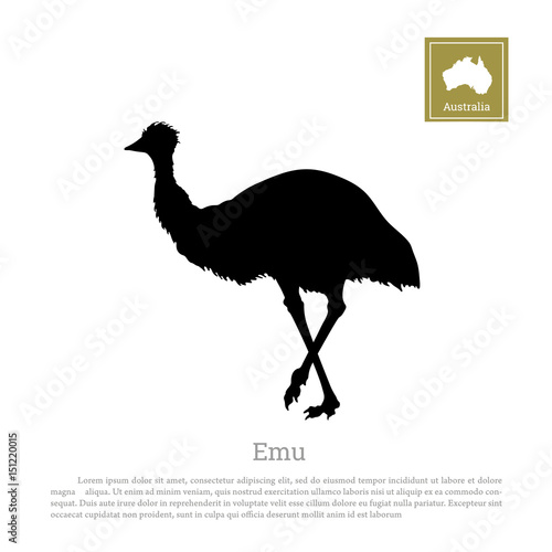 Download Black silhouette of ostrich emu on white background ...