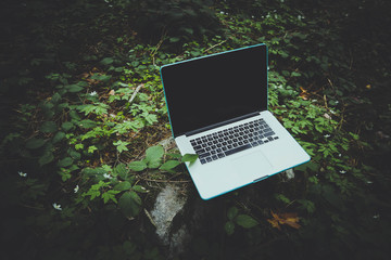 freelancer laptop computer lost in the forest glade, amid the greenery, summertime. photo depicts no