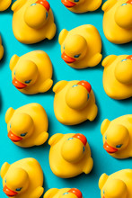 Yellow Rubber Ducks Organized On Blue Background.