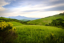 Scenery Near To Pienza, Tuscany. The Area Is Part Of The Val D'Orcia Italy