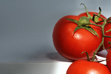 Red tomatoes on a branch