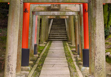 Japanese Red Shinto Torii Gates Leading To Shrine Steps