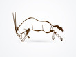 Oryx jumping to attack with long horn outline graphic vector