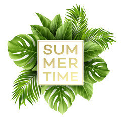 Summer poster with tropical palm leaf . Vector illustration