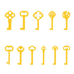 Wall Mural - Golden key vector