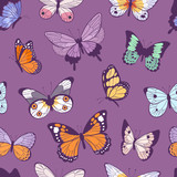 Fototapeta Motyle - Colorful different summer butterfly wings seamless pattern vector illustration background.