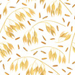 Oat ears of grain and bran. seamless pattern vector. Golden spike and corn