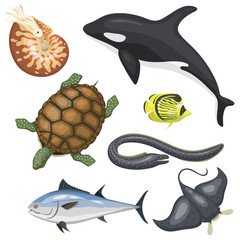 Wall Mural - Set of different types of sea animals illustration tropical character wildlife marine aquatic fish