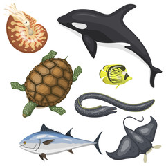 Poster - Set of different types of sea animals illustration tropical character wildlife marine aquatic fish