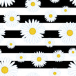 Daisies. White daisy flower seamless pattern. Chamomile on black and white stripes background 