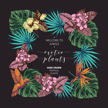 Vecotr Hand Drawn Tropical Plants Poster. Exotic Engraved Leaves And Flowers. Monstera, Livistona Palm Leaves, Birdof Paradise, Plumeria, Hibiscus.