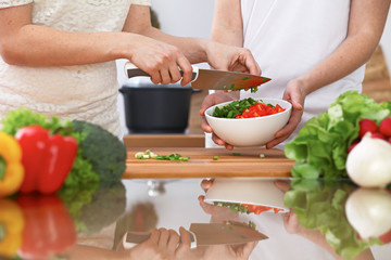 Closeup of two women are cooking in a kitchen. Friends having fun while preparing fresh salad