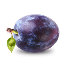 Wall Mural - plum