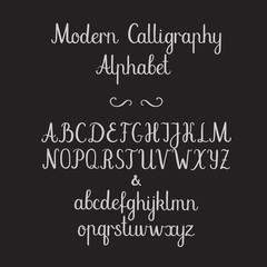 Wall Mural - Calligraphic alphabet. Decorative handwritten brush font. Uppercase, lowercase and ampersand. Vector letters. Wedding calligraphy