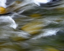 Water In Motion