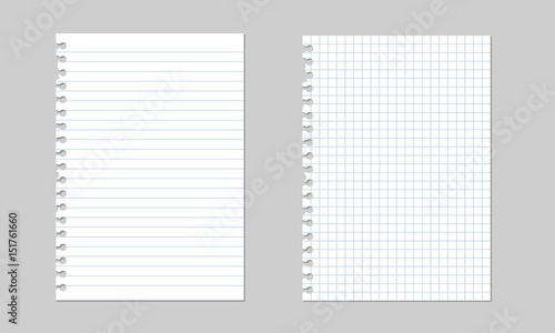 Set of vector realistic illustrations of a torn sheet of paper from a workbook w Poster Mural XXL