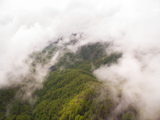  Misty mountain forest