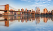 Lower Manhattan with brooklyn bridge, NYC